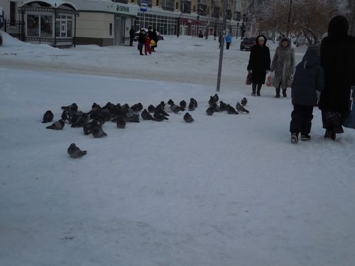 tn_DSCN0683