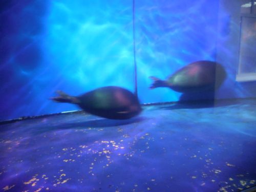 tn_DSCN0922