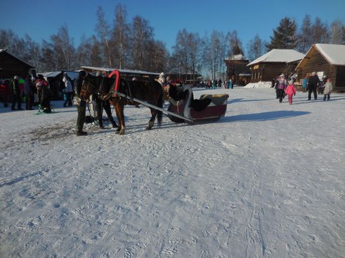 tn_DSCN0944