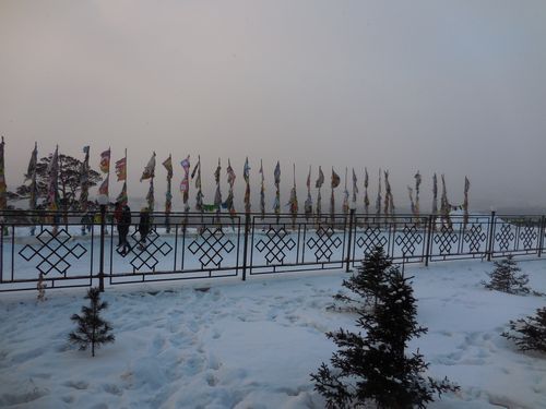 tn_DSCN1026