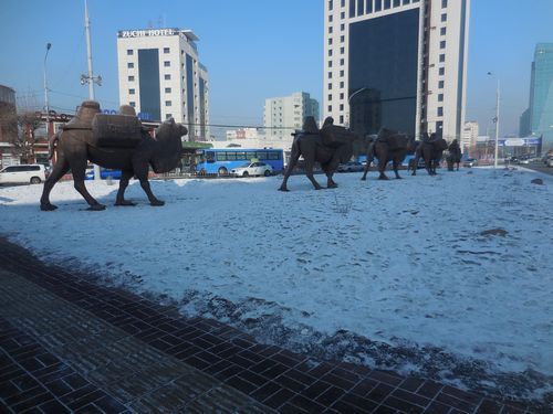 tn_DSCN1099
