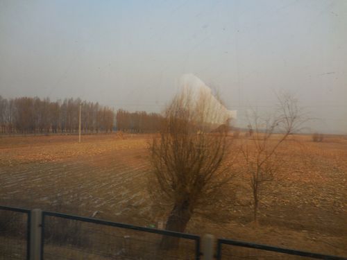tn_DSCN1227