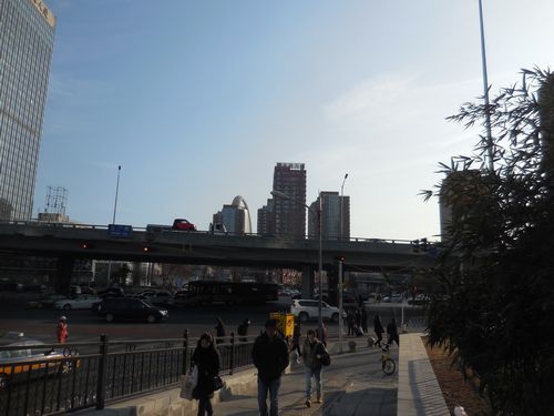 tn_DSCN1268