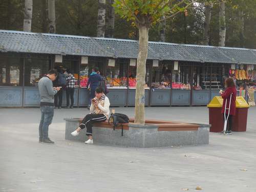 tn_DSCN1449