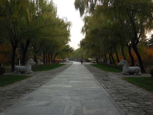 tn_DSCN1458