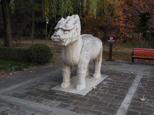 tn_DSCN1459