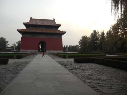 tn_DSCN1461