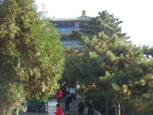 tn_DSCN1476