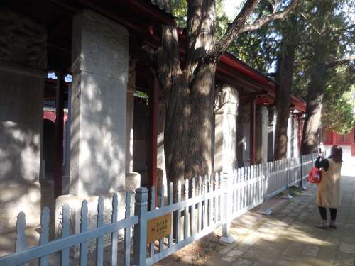 tn_DSCN1491