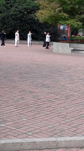 tn_DSCN1594d