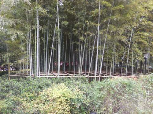 tn_DSCN1610