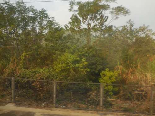 tn_DSCN1615
