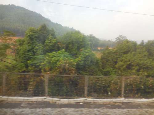 tn_DSCN161