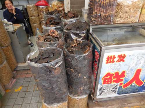 tn_DSCN1636