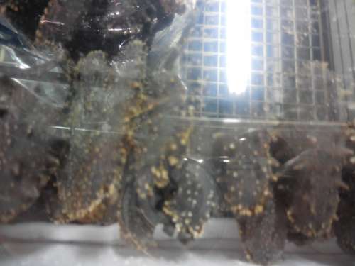 tn_DSCN1640