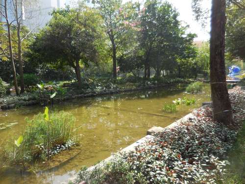 tn_DSCN1709