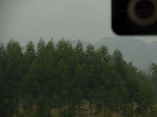 tn_DSCN1720