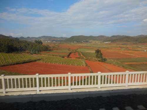 tn_DSCN1726
