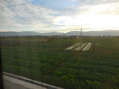 tn_DSCN1911