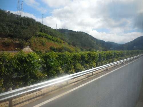 tn_DSCN2044