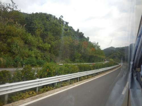 tn_DSCN2047