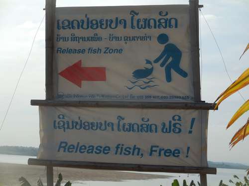 tn_DSCN2185