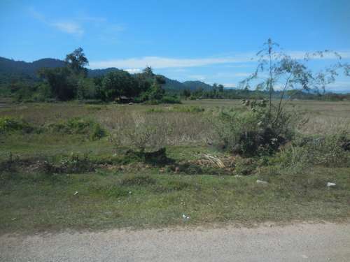 tn_DSCN2199
