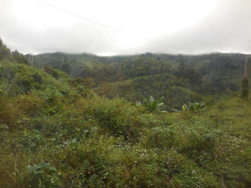 tn_DSCN2260