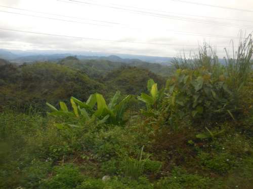 tn_DSCN2261