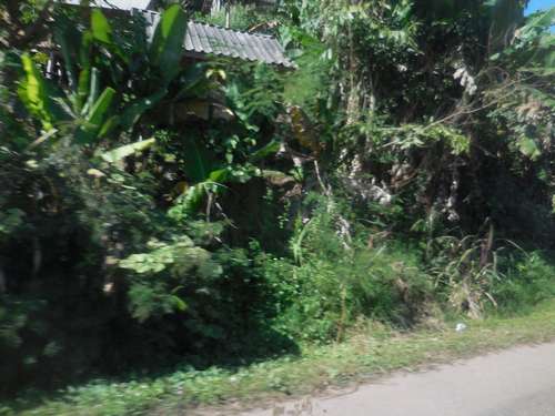 tn_DSCN2337