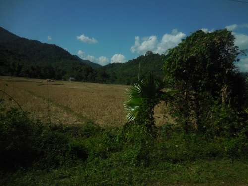 tn_DSCN2341