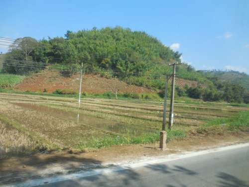 tn_DSCN2409