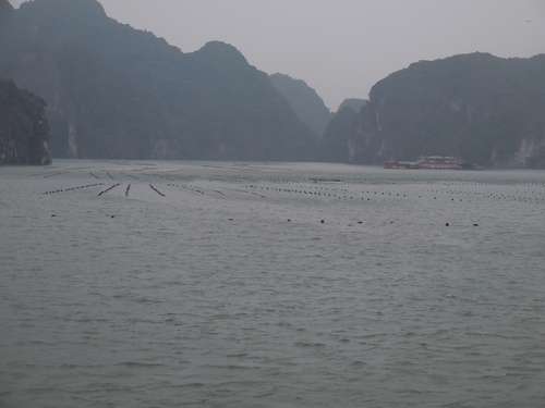 tn_DSCN2565