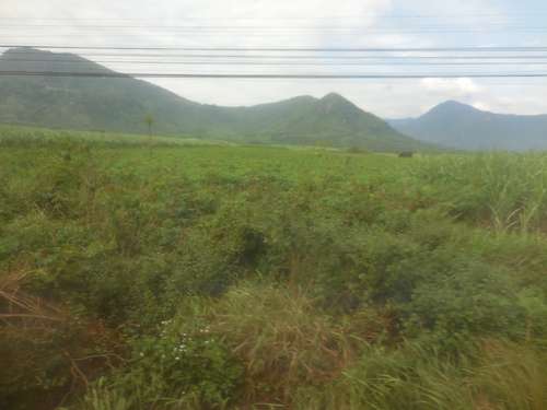 tn_DSCN2776