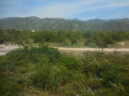 tn_DSCN2778