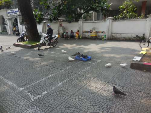 tn_DSCN2806