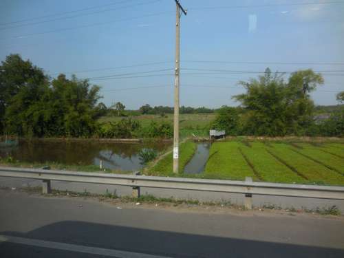 tn_DSCN2906