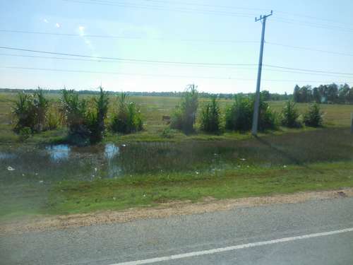 tn_DSCN2938