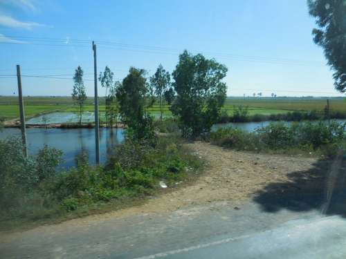 tn_DSCN2942
