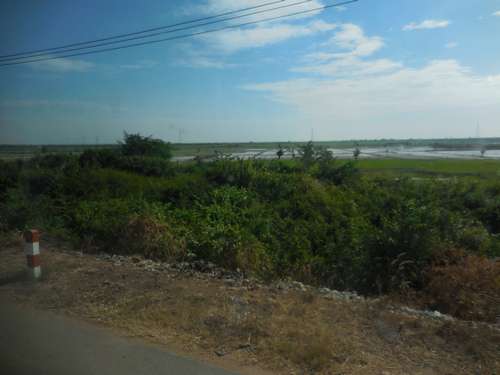 tn_DSCN3003