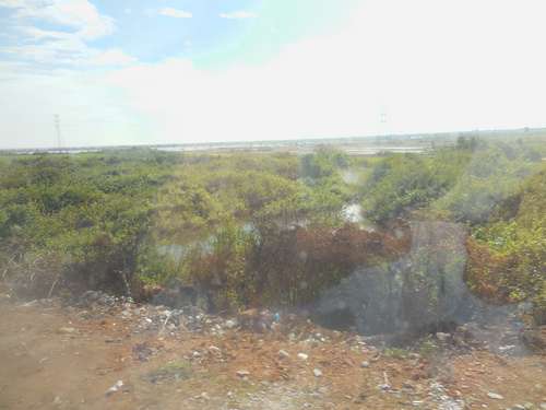 tn_DSCN3004