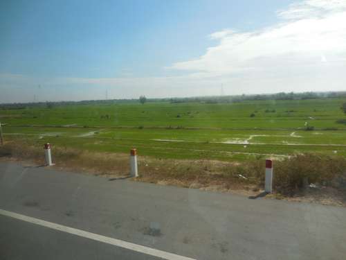 tn_DSCN3006