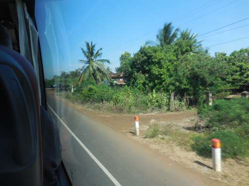 tn_DSCN3010