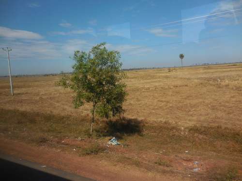 tn_DSCN3015