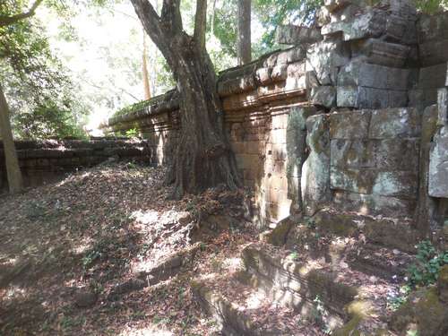 tn_DSCN3078