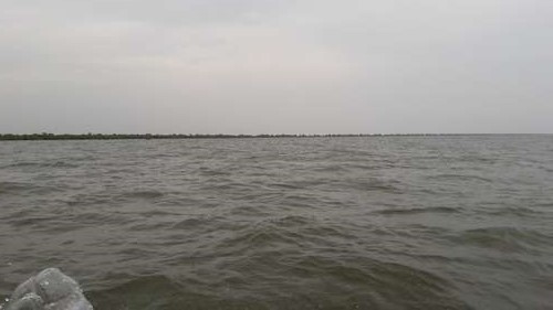 tn_DSCN3331d