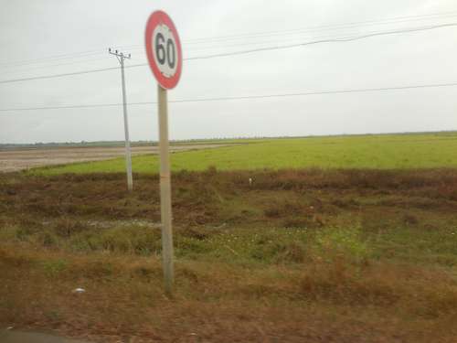 tn_DSCN3343