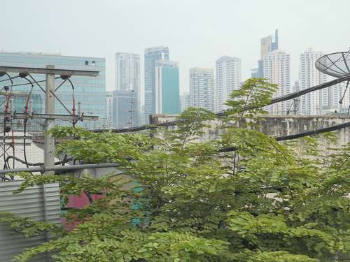 tn_DSCN3349