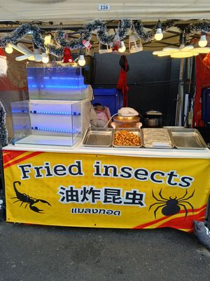 20251216_161829.jpg