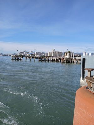 20251228_093152.jpg